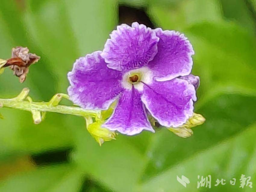 永利澳门在线